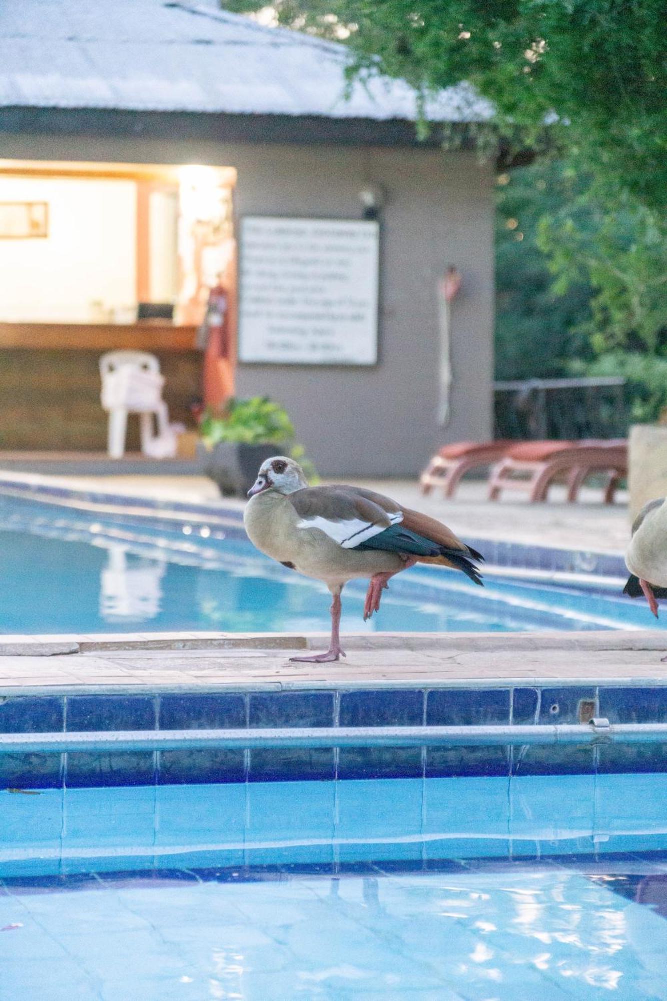 Lukenya Getaway Athi River Exterior foto