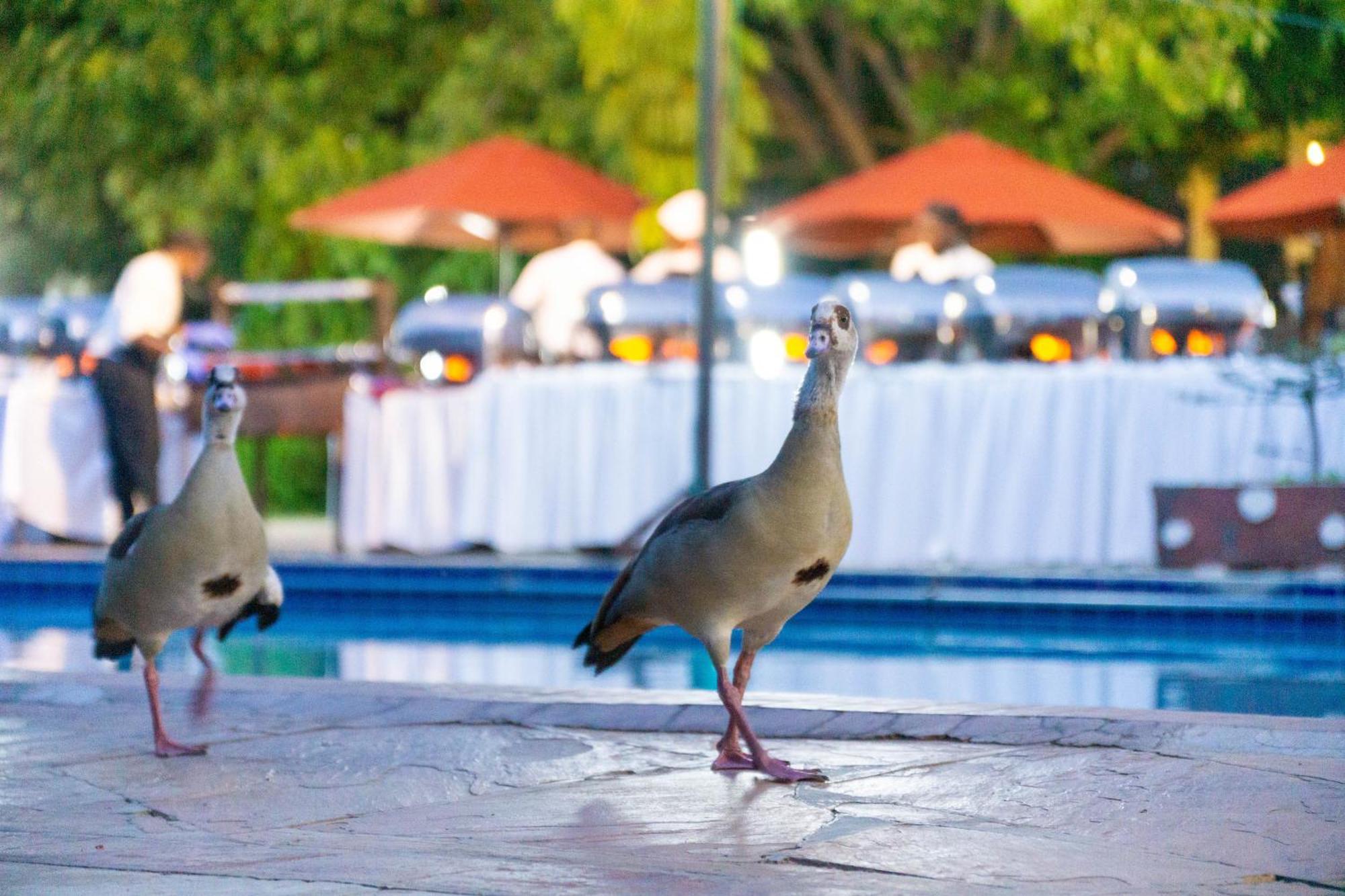Lukenya Getaway Athi River Exterior foto