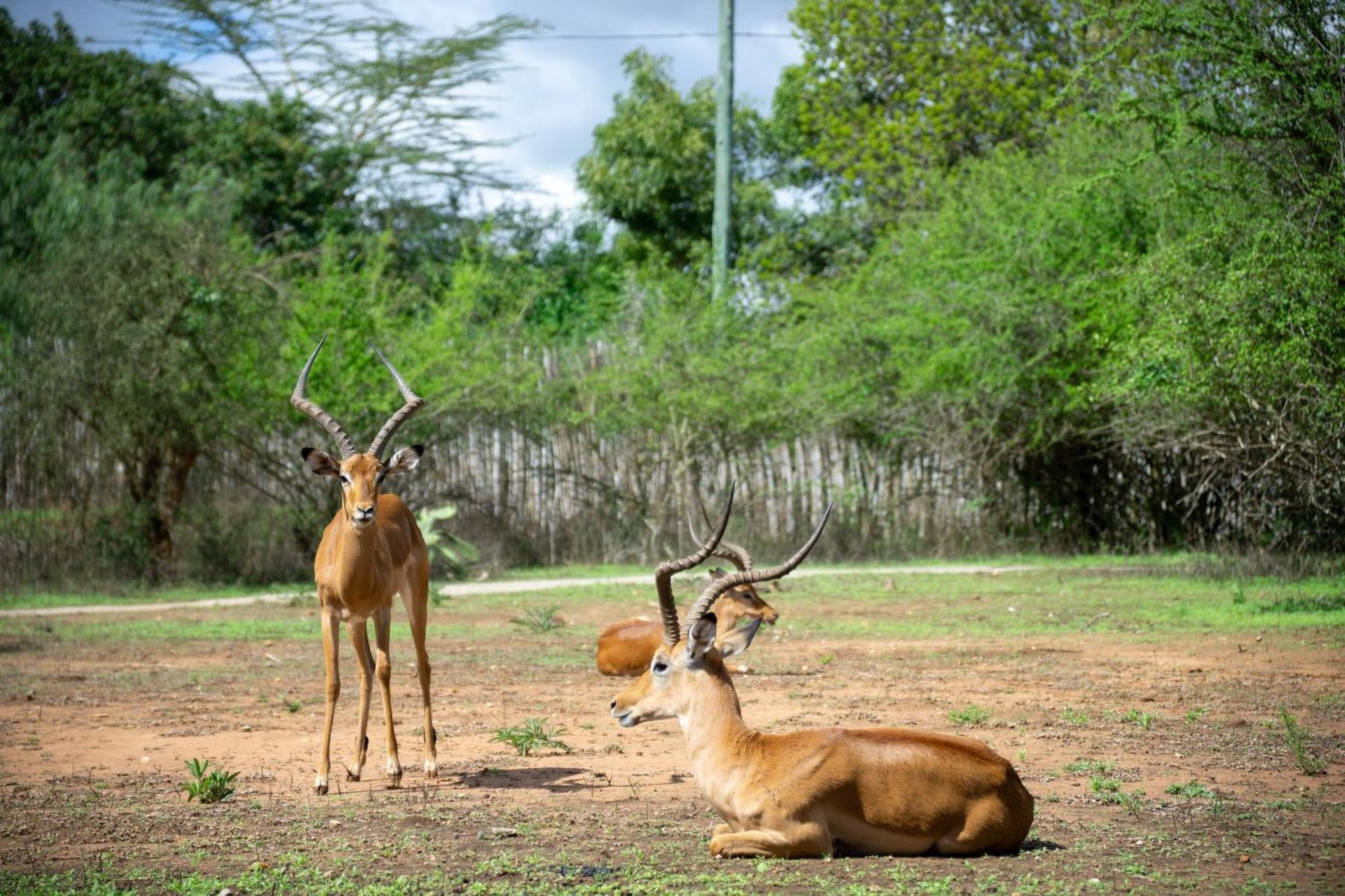 Lukenya Getaway Athi River Exterior foto