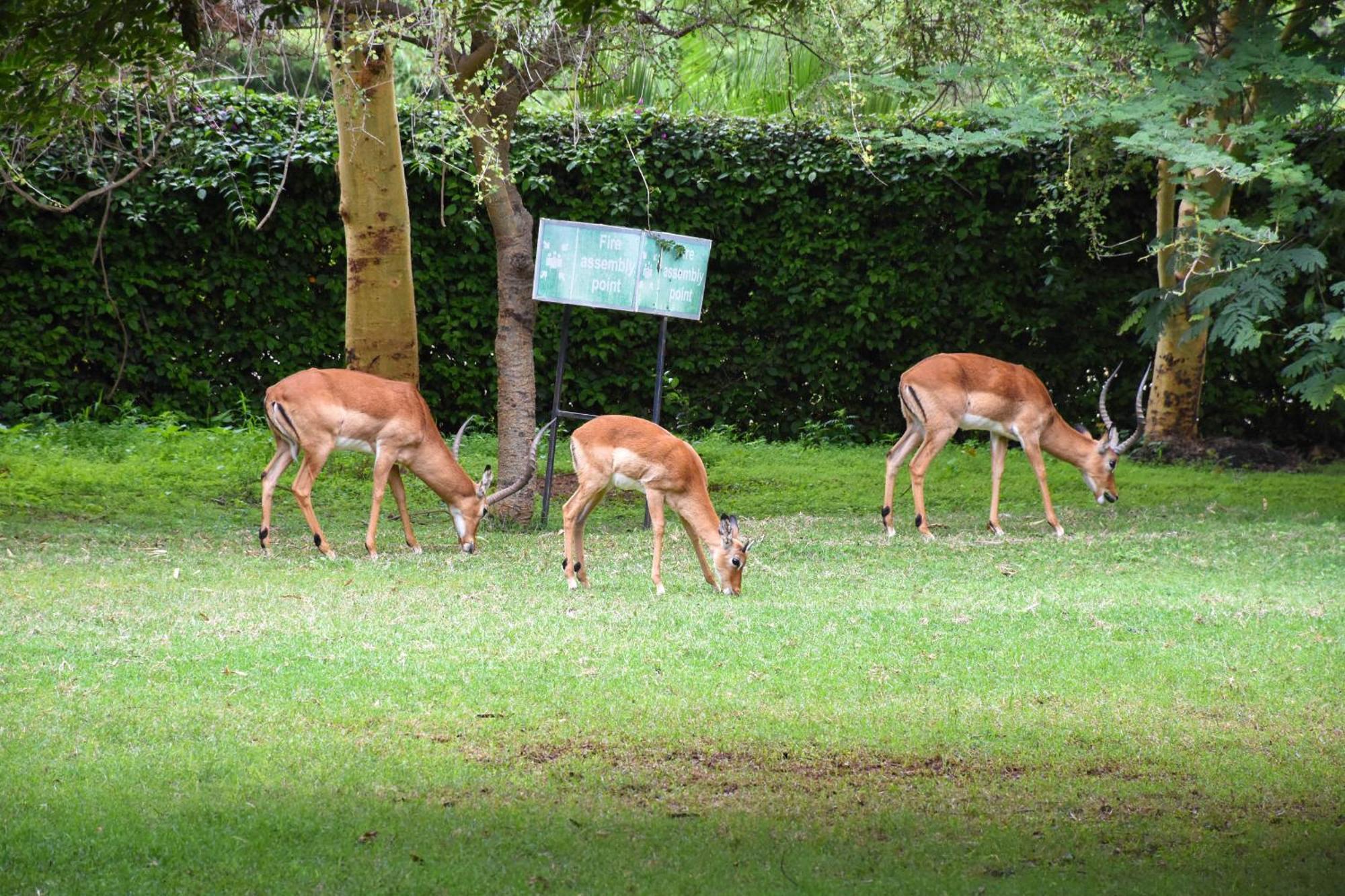 Lukenya Getaway Athi River Exterior foto