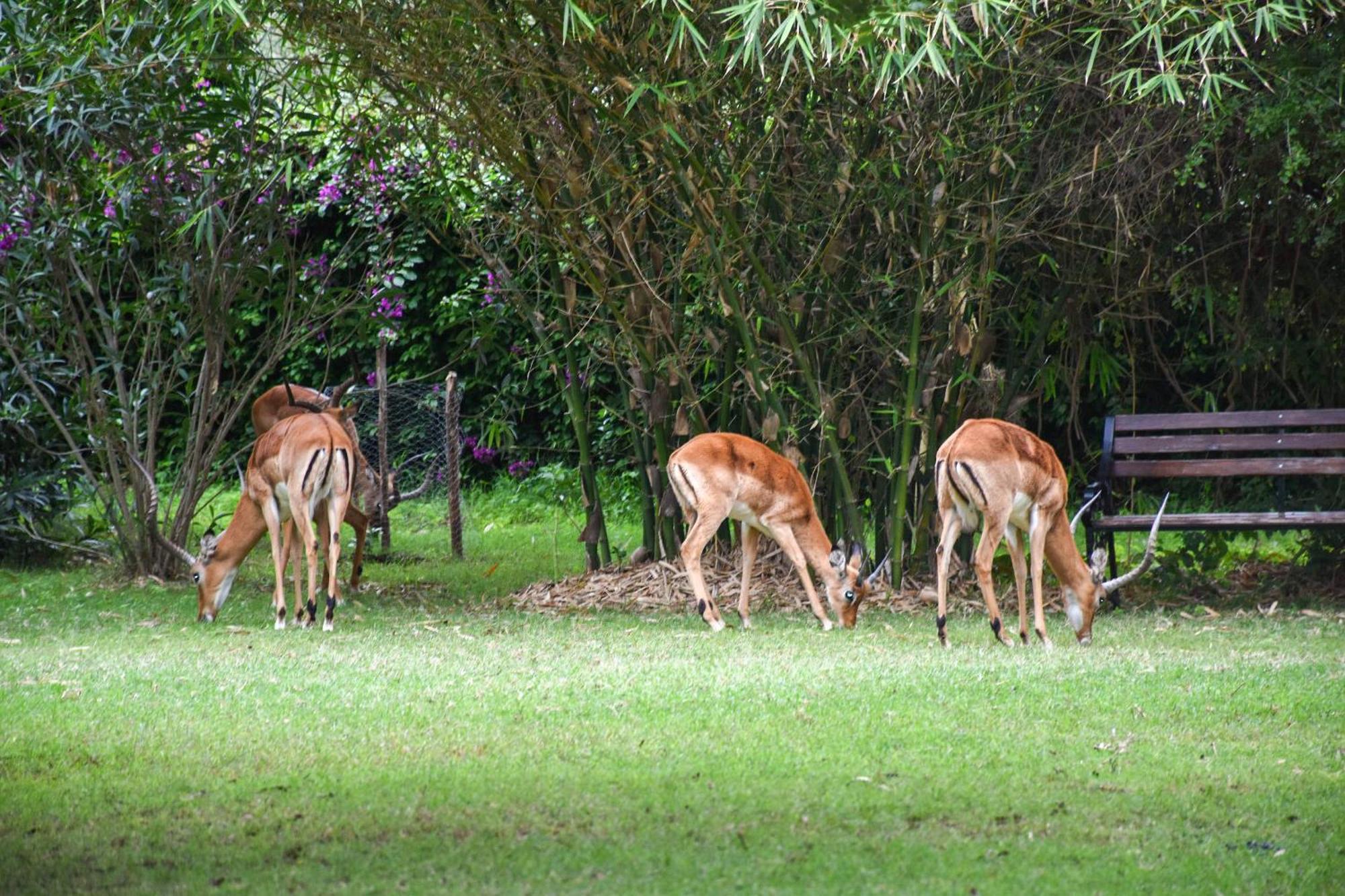 Lukenya Getaway Athi River Exterior foto