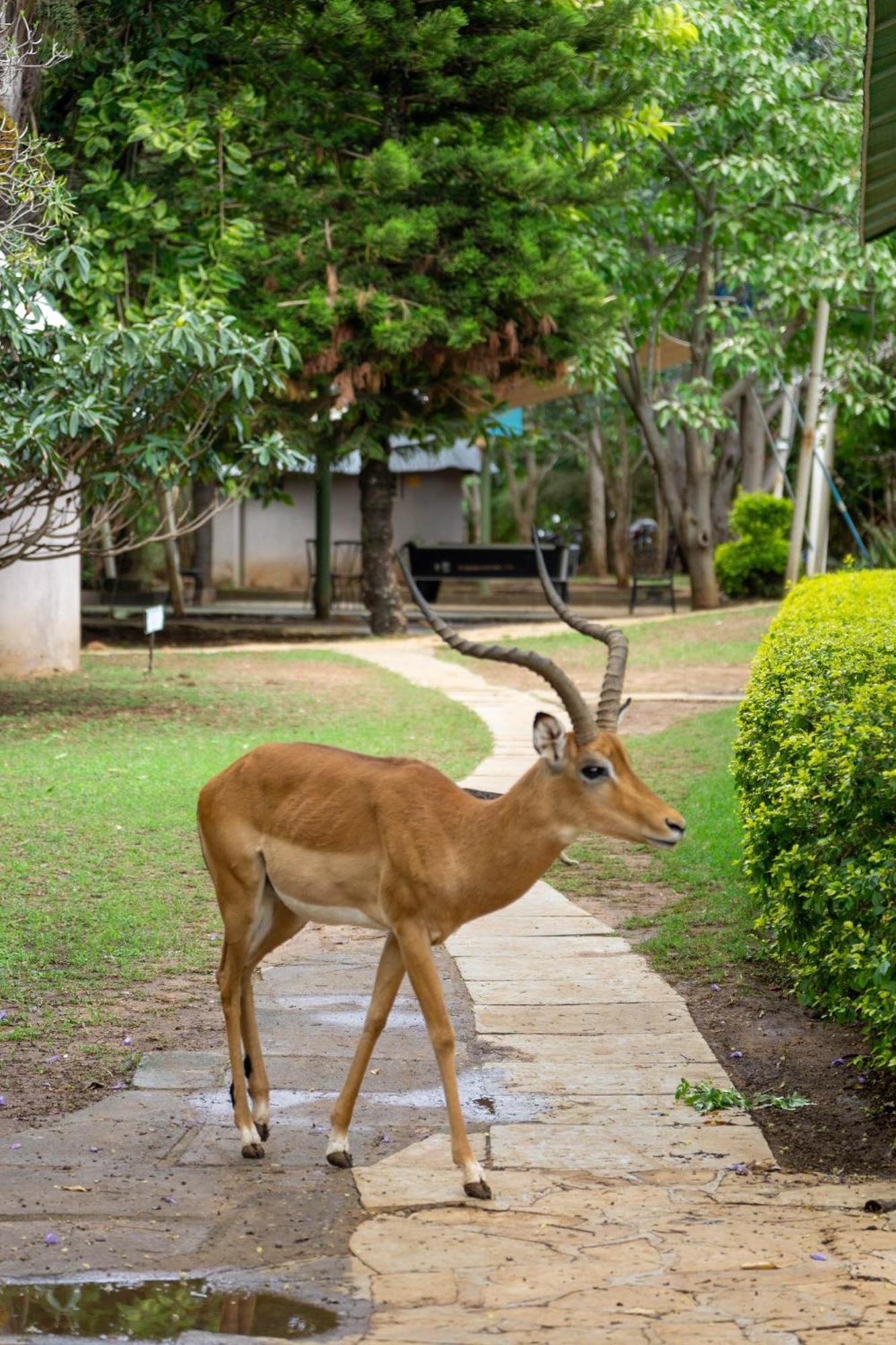 Lukenya Getaway Athi River Exterior foto